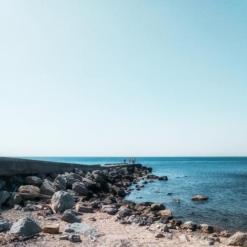 Photo #5256432