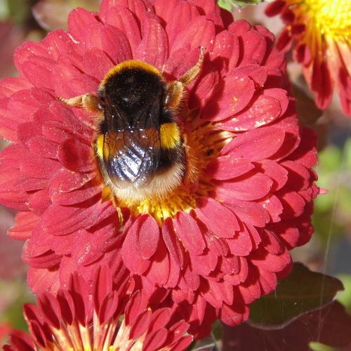 Photo #5256447
