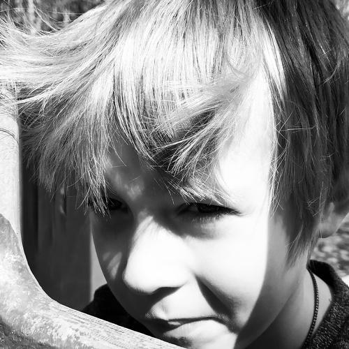 Photo #5256450