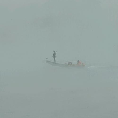 Fog hunters
