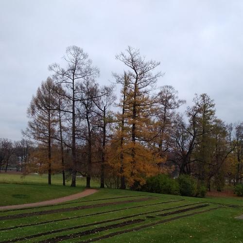 Photo #5256605