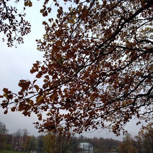 Photo #5256678