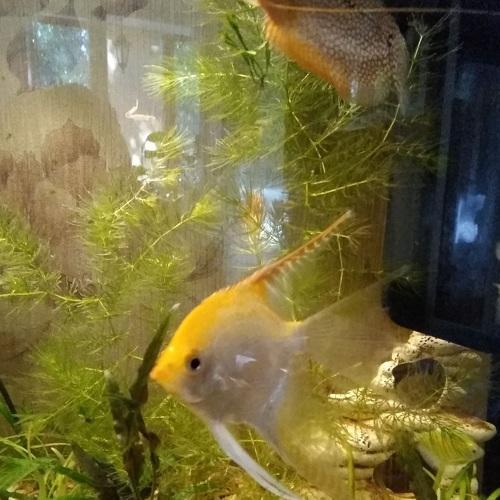 Photo #5256693