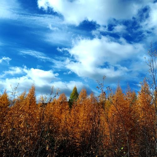 Photo #5256707