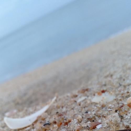 Photo #5256900