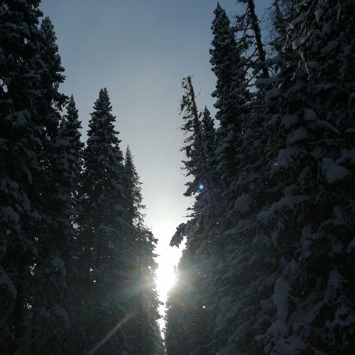Photo #5257632