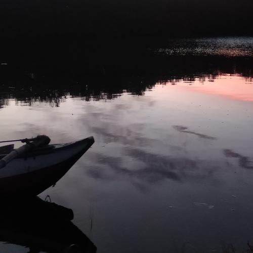 Photo #5257805