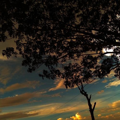 Photo #5257876