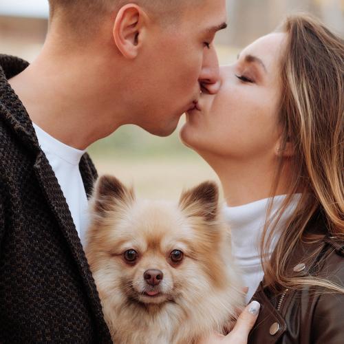 Photo #5258061