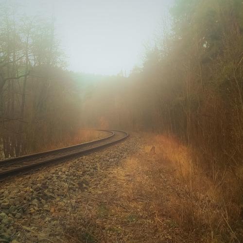 Photo #5258264