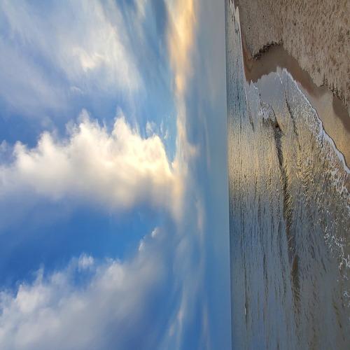 Photo #5258421