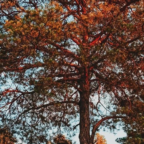 Photo #5258828