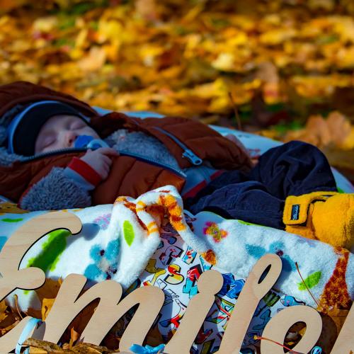 Photo #5259027