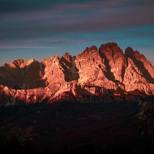 Photo #5259219