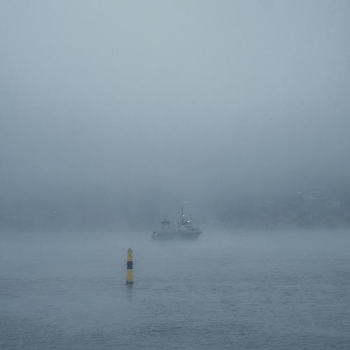 Photo #5259514