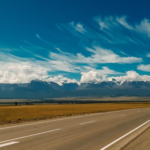 Photo #5260180