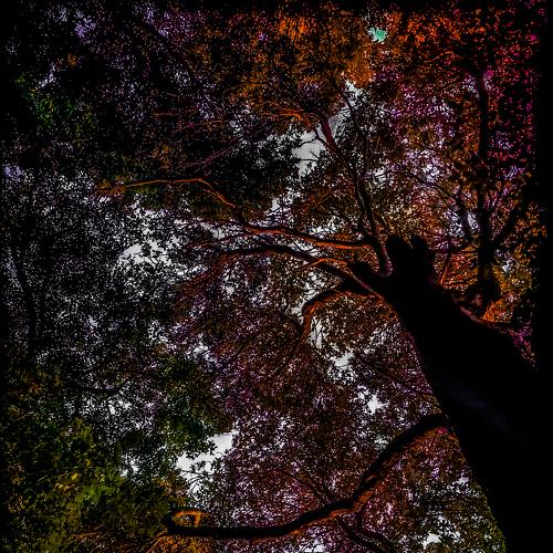 Photo #5260299