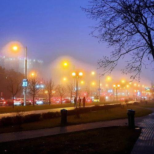 Photo #5260684