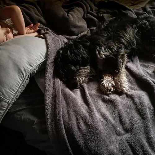 Photo #5260687