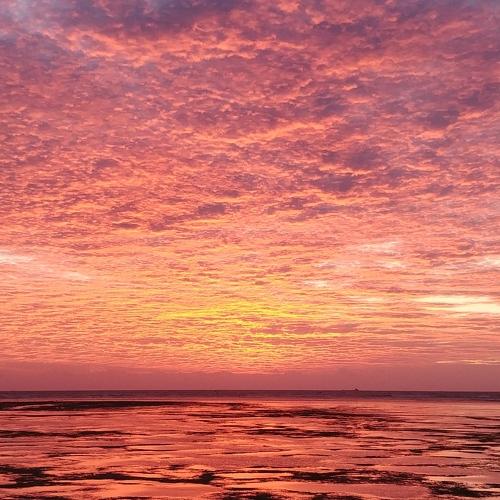 Photo #5260783