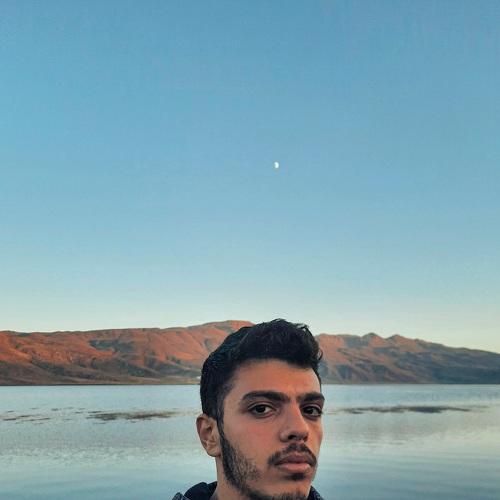 Photo #5261040