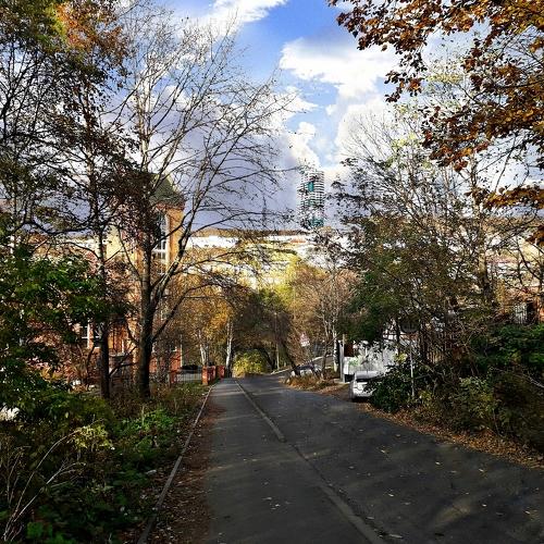 Photo #5261079