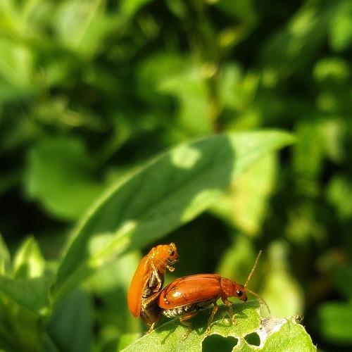 Photo #5261256