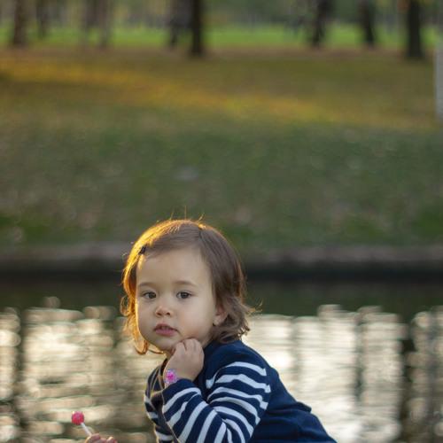 Photo #5262475