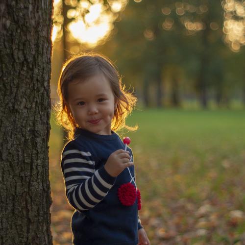 Photo #5262476
