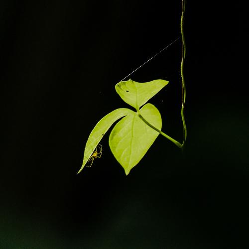 Photo #5262607