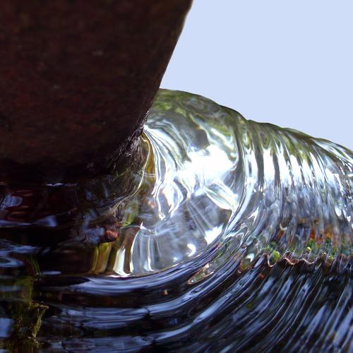 Photo #5262612