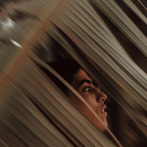 Photo #5262620