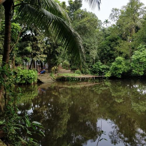 Old Pond