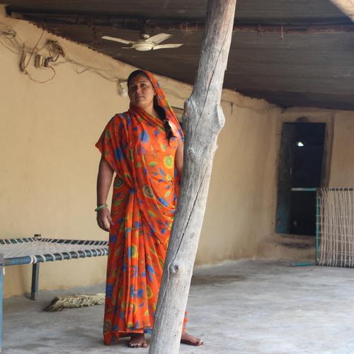 Photo #5262813