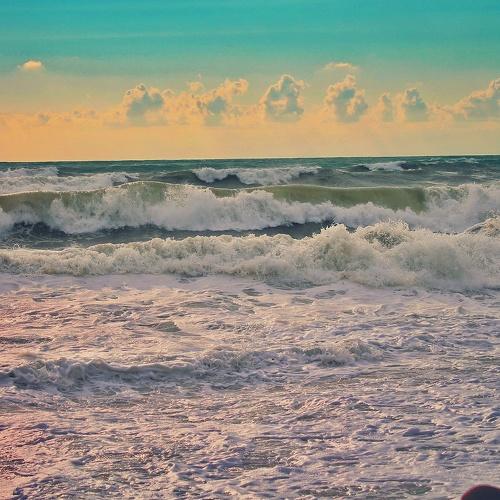 Photo #5263250