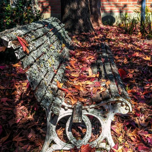 Photo #5263272