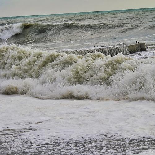 Photo #5263276