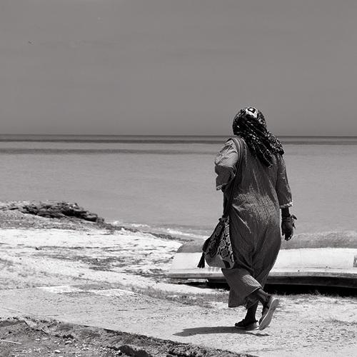Photo #5263431