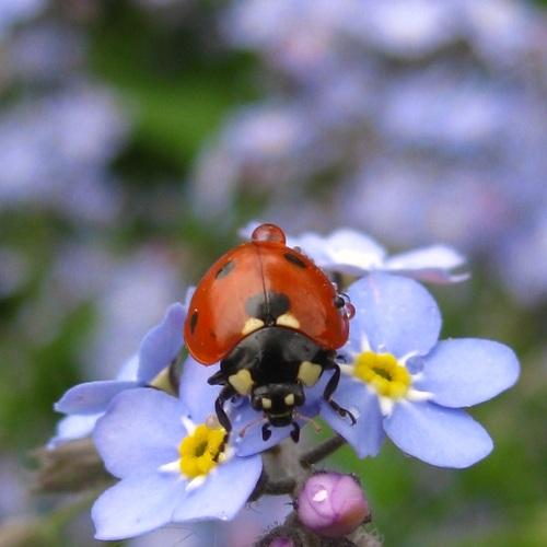 Photo #5263752