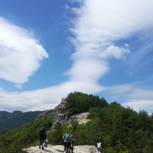 Photo #5263807