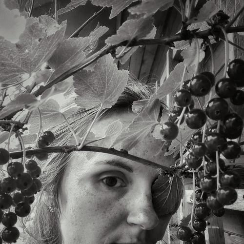 Photo #5264006