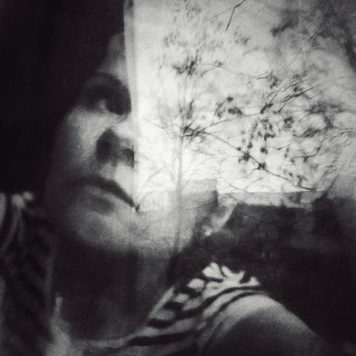 Photo #5264067