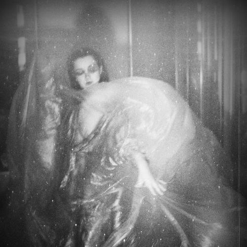 Photo #5264081