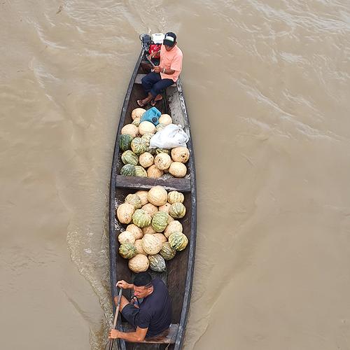 Photo #5264110