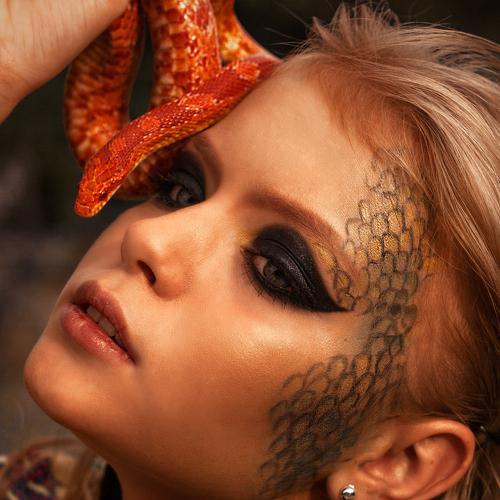 Photo #5264122
