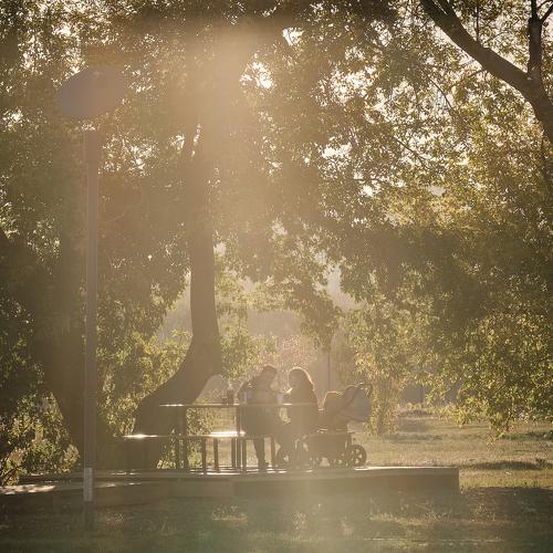 Photo #5264323