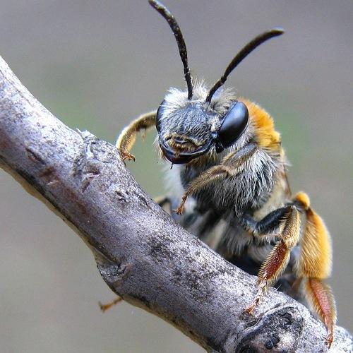 Photo #5264344