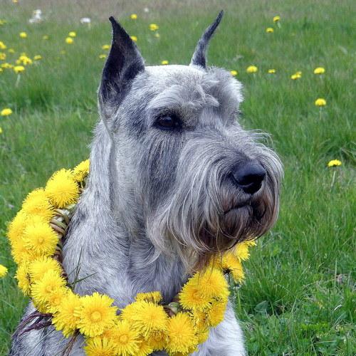 Photo #5264541