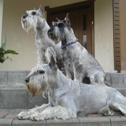 Photo #5264558