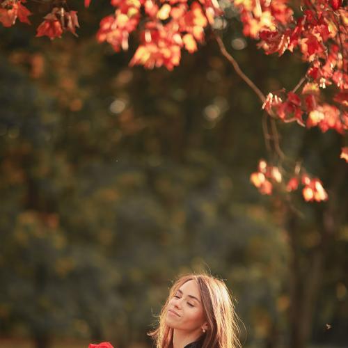 Photo #5264744